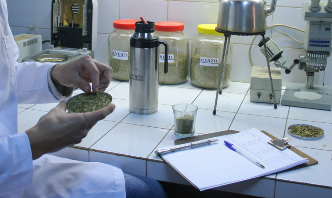 Imagen de Cada vez son más las investigaciones científicas sobre yerba mate y salud ? Imagen de Cada vez son más las investigaciones científicas sobre yerba mate y salud ?
