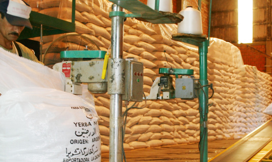 Imagen de Récord en las exportaciones de yerba mate Imagen de Récord en las exportaciones de yerba mate