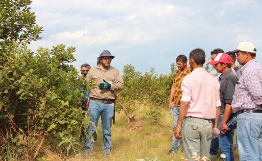 Imagen de Un total de 30 tareferos compartieron clases y prácticas sobre cosecha y legislación