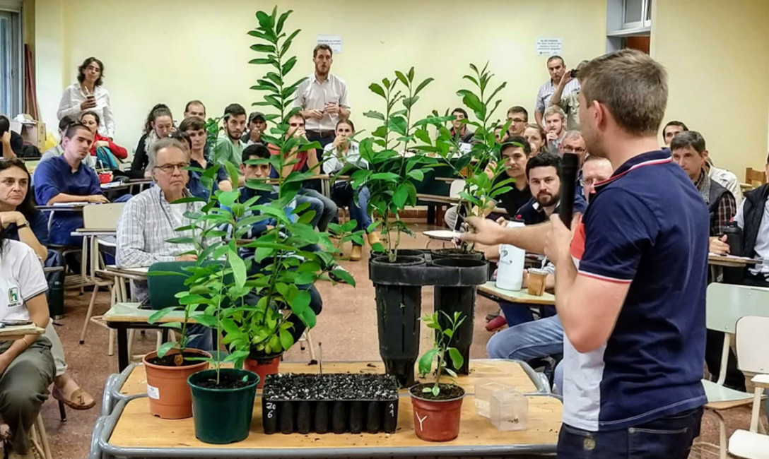 Imagen de Presentamos manual de propagación vegetativa de plantines Imagen de Presentamos manual de propagación vegetativa de plantines