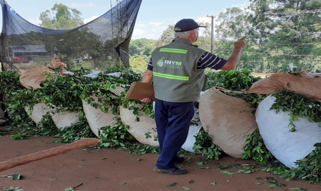 Imagen de Contin&uacute;an los operativos diarios para controlar el transporte y acopio de hoja verde