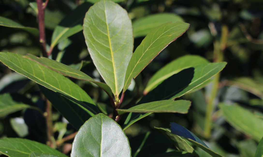 Imagen de La producción y el consumo se mantienen constantes Imagen de La producción y el consumo se mantienen constantes