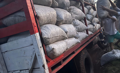 Imagen de El INYM intervino e inutilizó más de 5.000 kilos de palitos en un procedimiento en Colonia Guaraní Imagen de El INYM intervino e inutilizó más de 5.000 kilos de palitos en un procedimiento en Colonia Guaraní