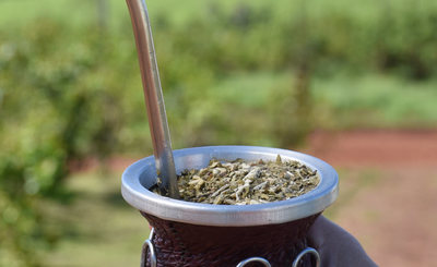 Imagen de Las ventas de yerba mate crecieron un 15% entre enero y julio Imagen de Las ventas de yerba mate crecieron un 15% entre enero y julio